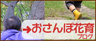 ԃ}CX^[{݂̃uO@Rt[AW